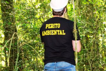 perito ambiental ibrapaa