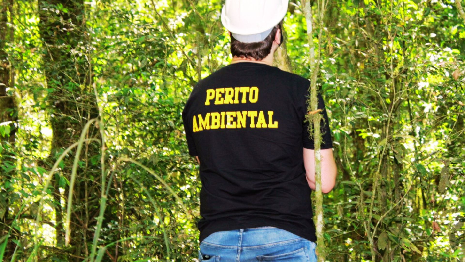 perito ambiental ibrapaa